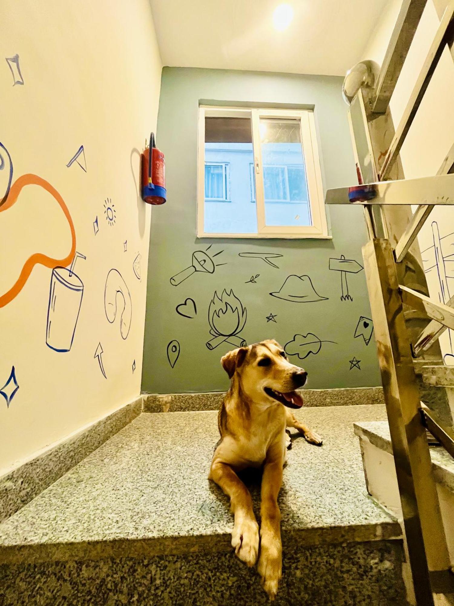 Bonfire Hostels ริชิเคช ภายนอก รูปภาพ